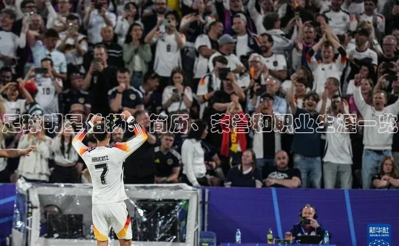 2121非凡体育app平台下载百度信誉足球明星伯扬：简历、荣誉和职业生涯一览