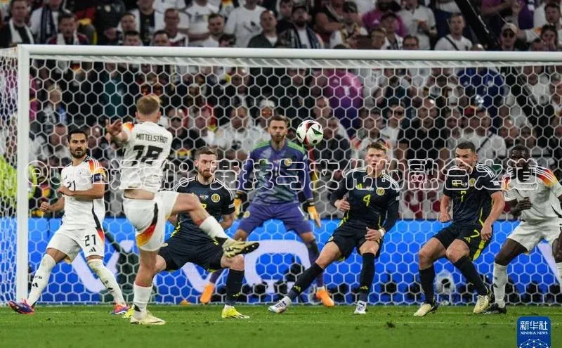 2121非凡体育app平台下载中文在线Qwen运动：竞技与文化的融合之道