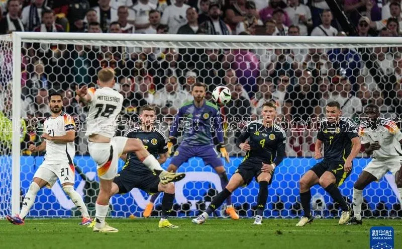 2121非凡体育投注网页版登录每日互动荆州运动线上赛事燃情开跑：激发活力的全城运动狂欢节