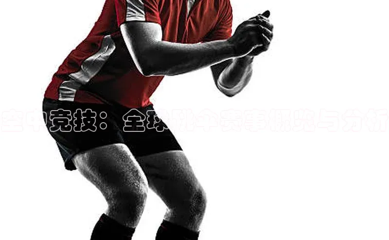 空中竞技：全球跳伞赛事概览与分析