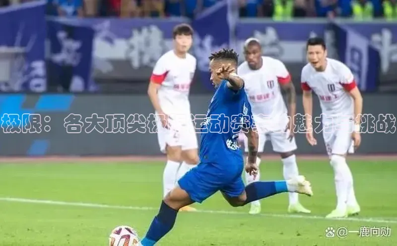 极限：各大顶尖极限运动赛事的魅力与挑战