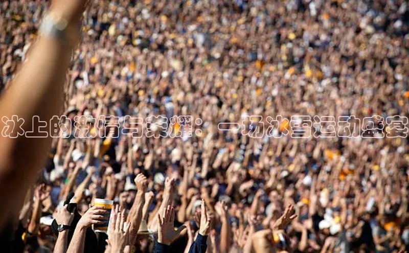 冰上的激情与荣耀：一场冰雪运动盛宴