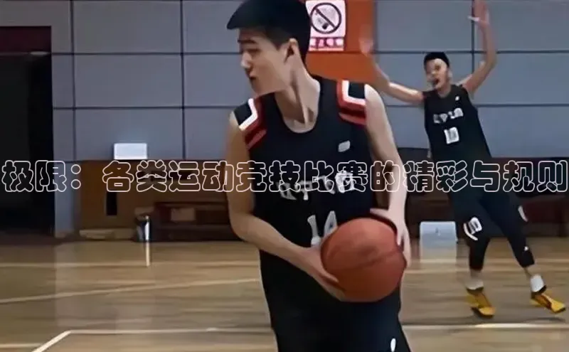 极限：各类运动竞技比赛的精彩与规则