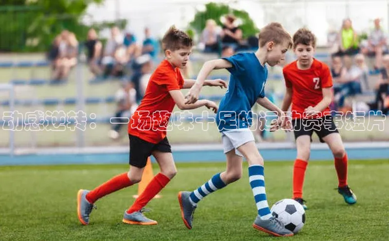 2121非凡体育登录入口