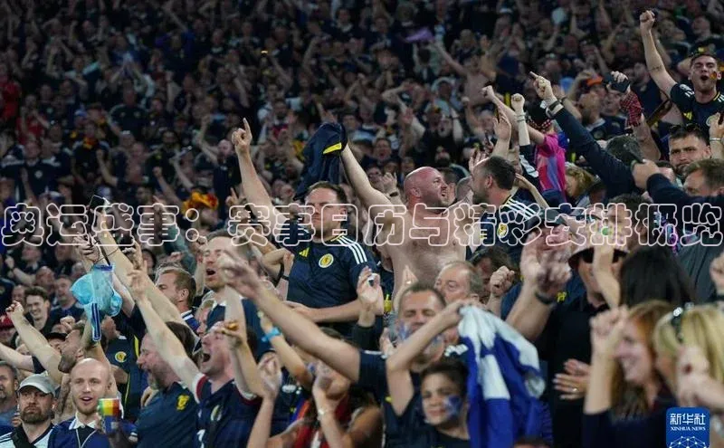 非凡体育2121app官网版