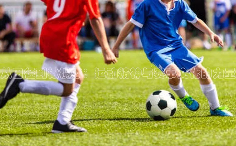 从田径到橄榄球：运动精神与赛事文化的力量
