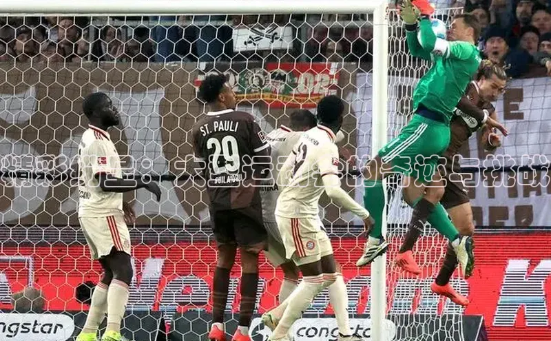 精彩纷呈：大型运动会的奇迹与挑战